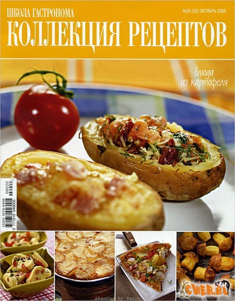 Коллекция рецептов №20 2008