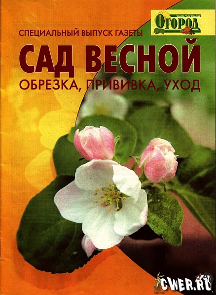 Сад весной: обрезка, прививка, уход