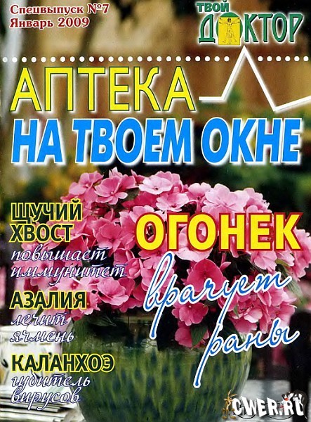 Твой доктор. Спецвыпуск: Аптека на твоём окне №7 (январь) 2009