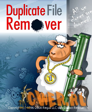 Duplicate File Remover