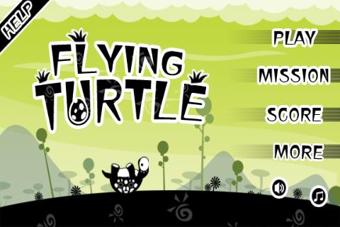 Flying Turtle