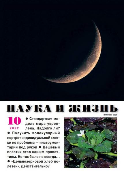 Наука и жизнь №10 октябрь 2022