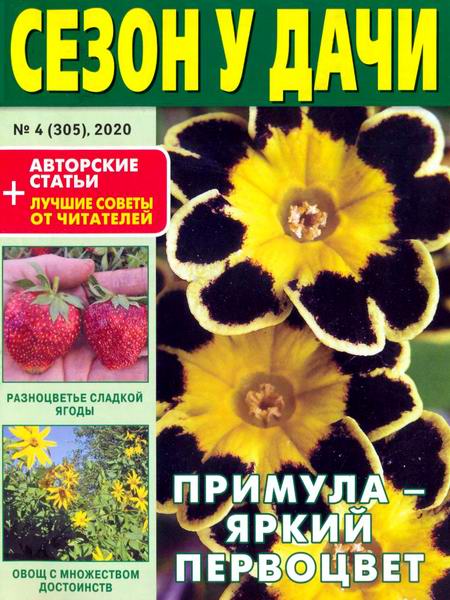 журнал газета Сезон у дачи №4 февраль 2020