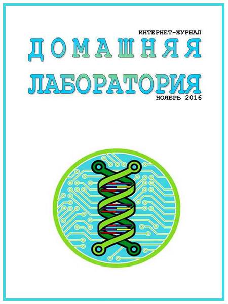 Домашняя лаборатория №11 ноябрь 2016