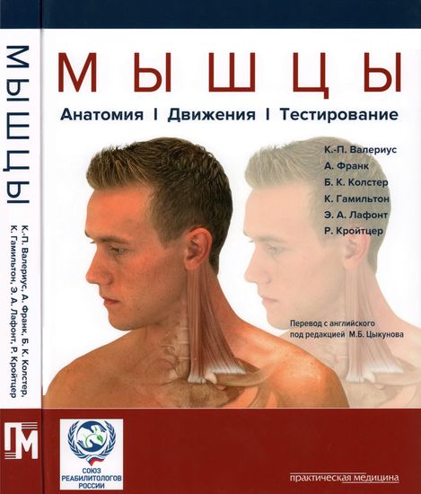 Мышцы. Анатомия. Движения