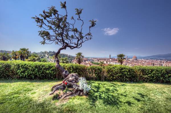 Different Desktop Wallpapers (Cwer.Ru)