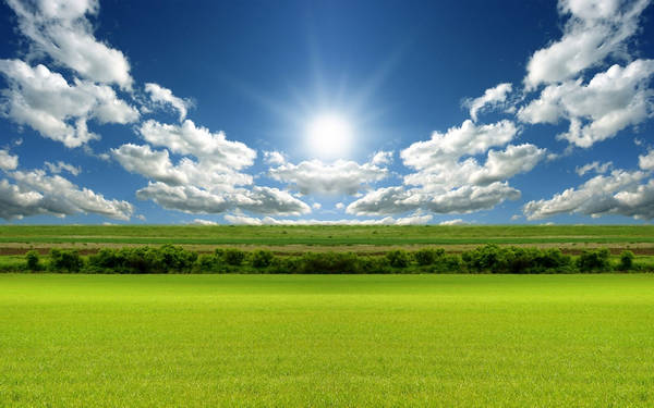 Cocktail Background Wallpapers (Cwer.ws)