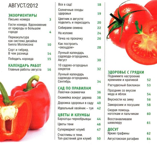 Усадьба, сад, огород своими руками №7 (2012)