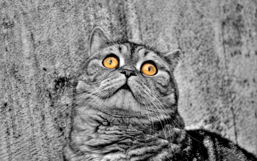 The Art Of Wallpapers 09