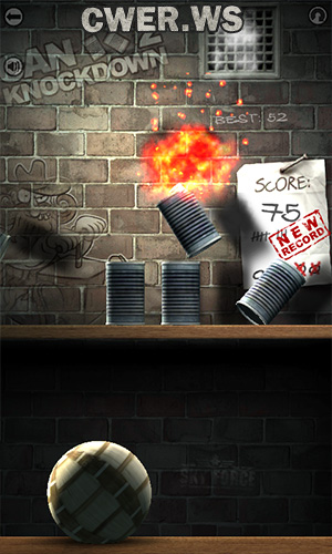 Can Knockdown 2