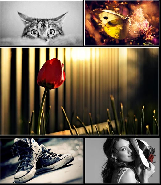 Valina's Wallpapers