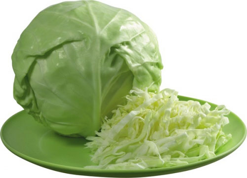 Stock Photo. Cabbage