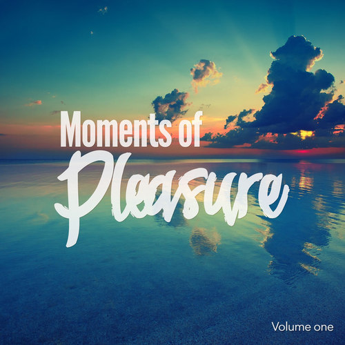 Moments of Pleasure Vol.1: Jazzy and Smooth Chill Out Tunes