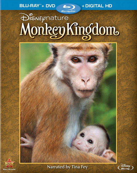 Monkey Kingdom