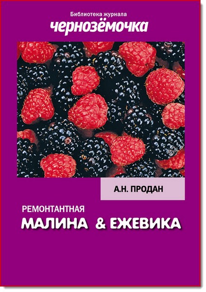 А. Н. Продан. Ремонтантная малина и ежевика