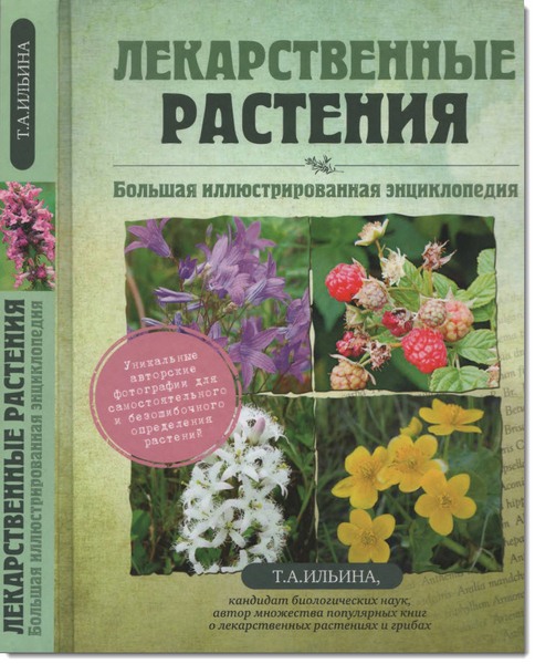 Т. А. Ильина. Лекарственные растения. Большая иллюстрированная энциклопедия