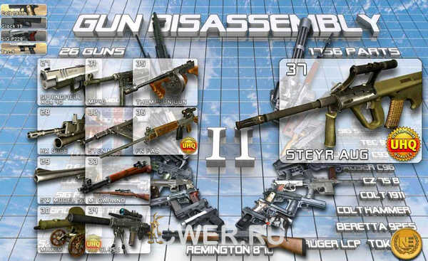 Gun Disassembly