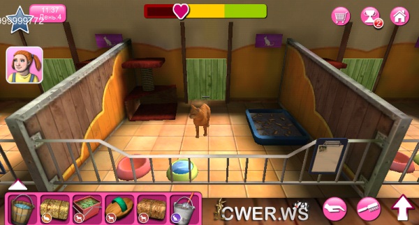 PetWorld 3D: приют для зверей