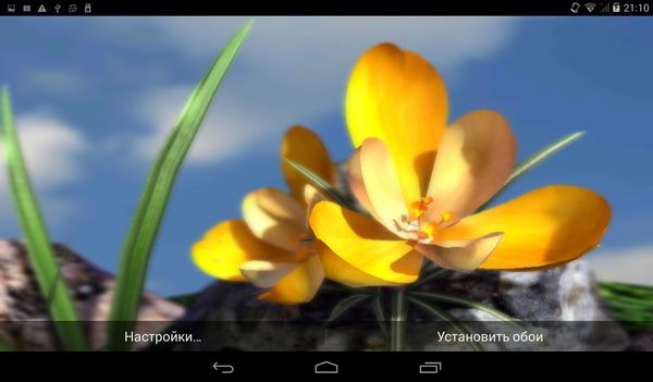 Nature Live: Spring Flowers XL