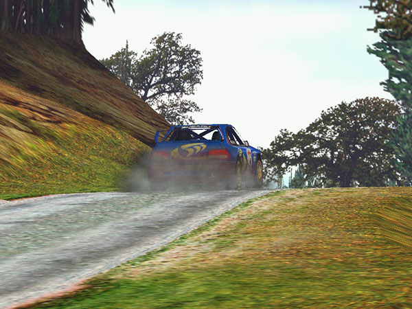 Rally Championship 2000