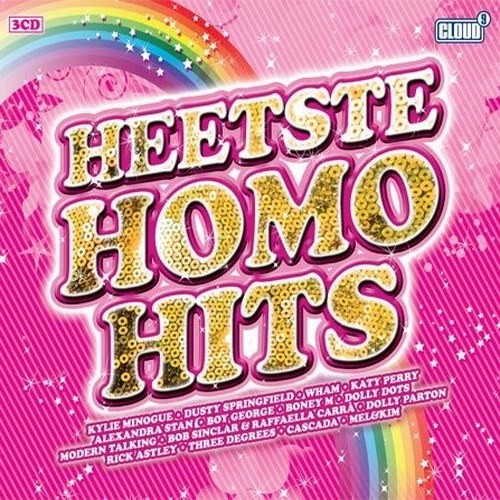 скачать Heetste homo hits (2011)