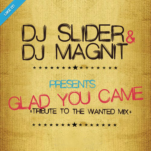 скачать Slider & Magnit. Glad You Came (2011)