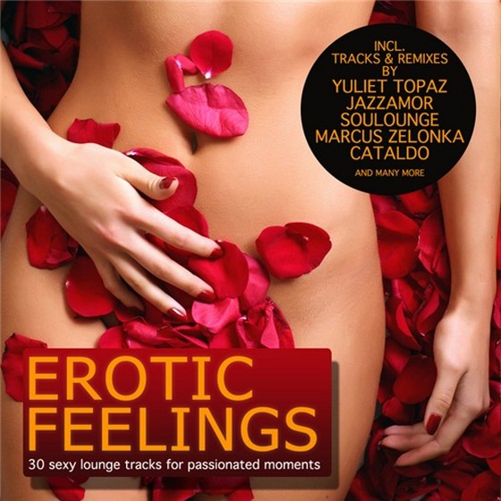 скачать Erotic Feelings: 30 Sexy Lounge Tracks For Passionated Moments (2012)