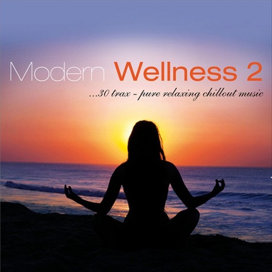 скачать Modern Wellness Vol 2: 30 Trax Pure Relaxing Chillout Music (2012)