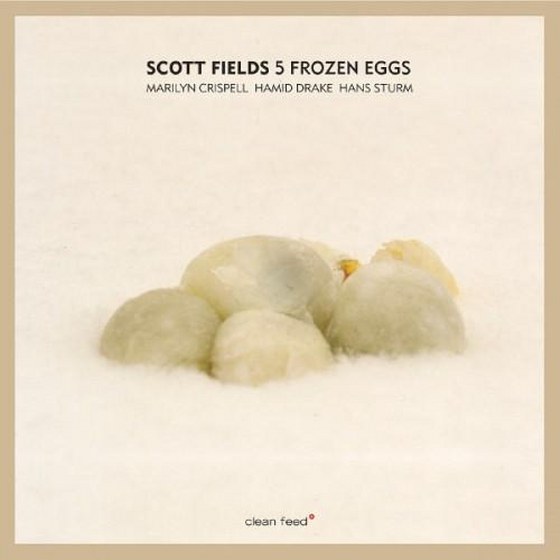 скачать Scott Fields. 5 Frozen Eggs (2012)