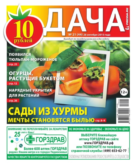 Дача 21 2015