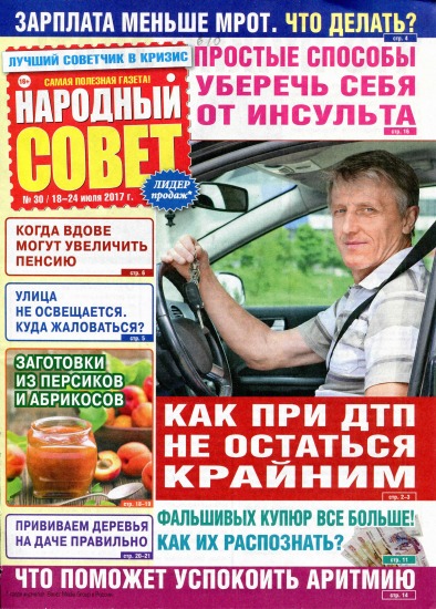 Народный совет 30 2017