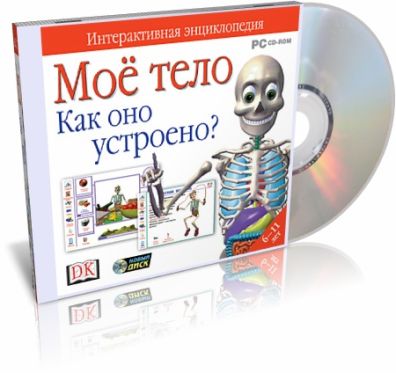 Мое тело. Как оно устроено?