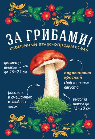Татьяна Ильина. За грибами. Карманный атлас-определитель