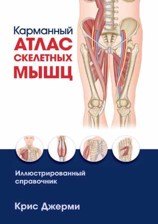 Карманный атлас скелетных мышц