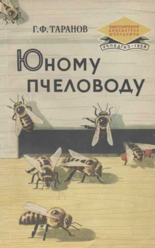 Юному пчеловоду