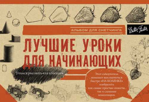 Лучшие уроки для начинающих