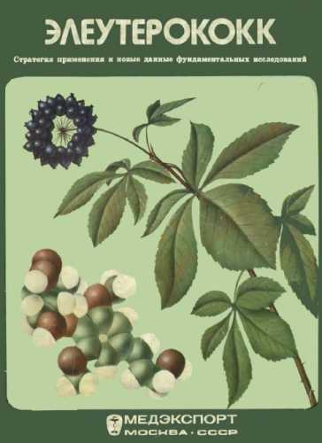 Элеутерококк