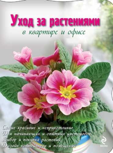 Уход за растениями в квартире и офисе