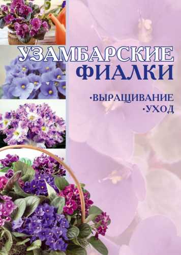 И.Е. Гусев. Узамбарские фиалки. Выращивание и уход