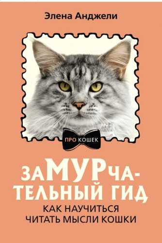 ЗаМУРчательный гид