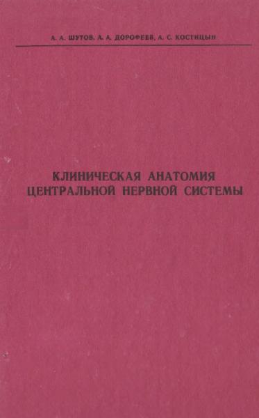 Клиническая анатомия центральной нервной системы