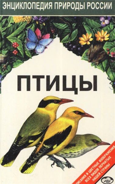 Бёме Р. Л., Динец В. Л. Птицы. Энциклопедия природы России