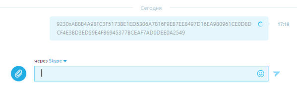 Skype Cryptor