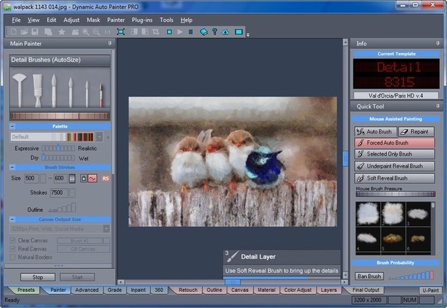 MediaChance Dynamic Auto Painter Pro 6.03