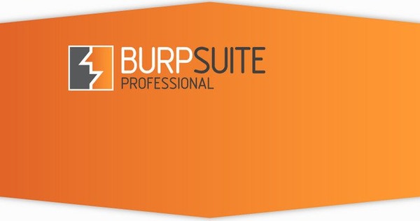 Burp Suite Professional