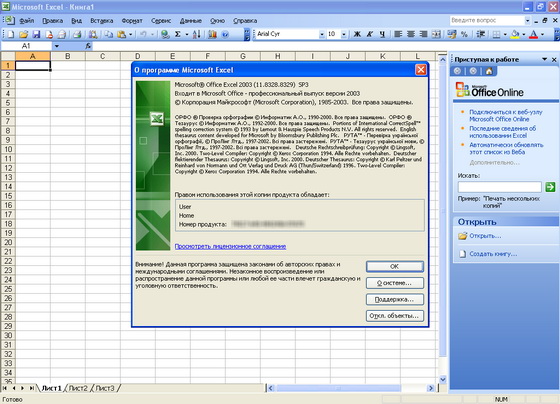 Microsoft Office Professional 2003