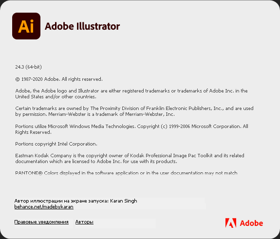 Adobe Illustrator CC 2020