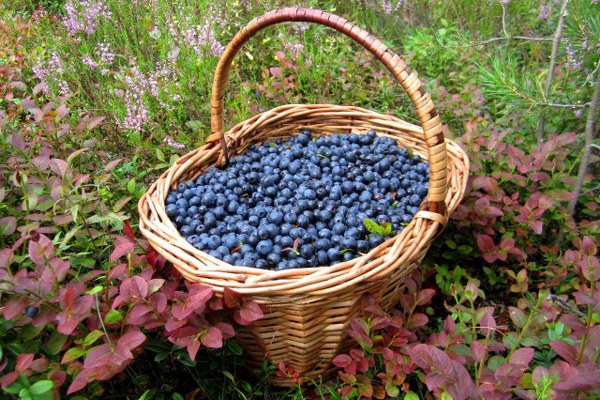 Best Mixed Wallpapers Pack #345-346