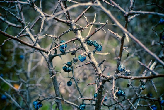 New Mixed HD Wallpapers Pack