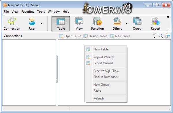 Navicat for SQL Server 10